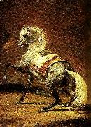 Theodore   Gericault cheval gris pommele France oil painting artist